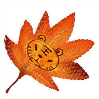 986年属虎人运势 属虎1986年终身命运"