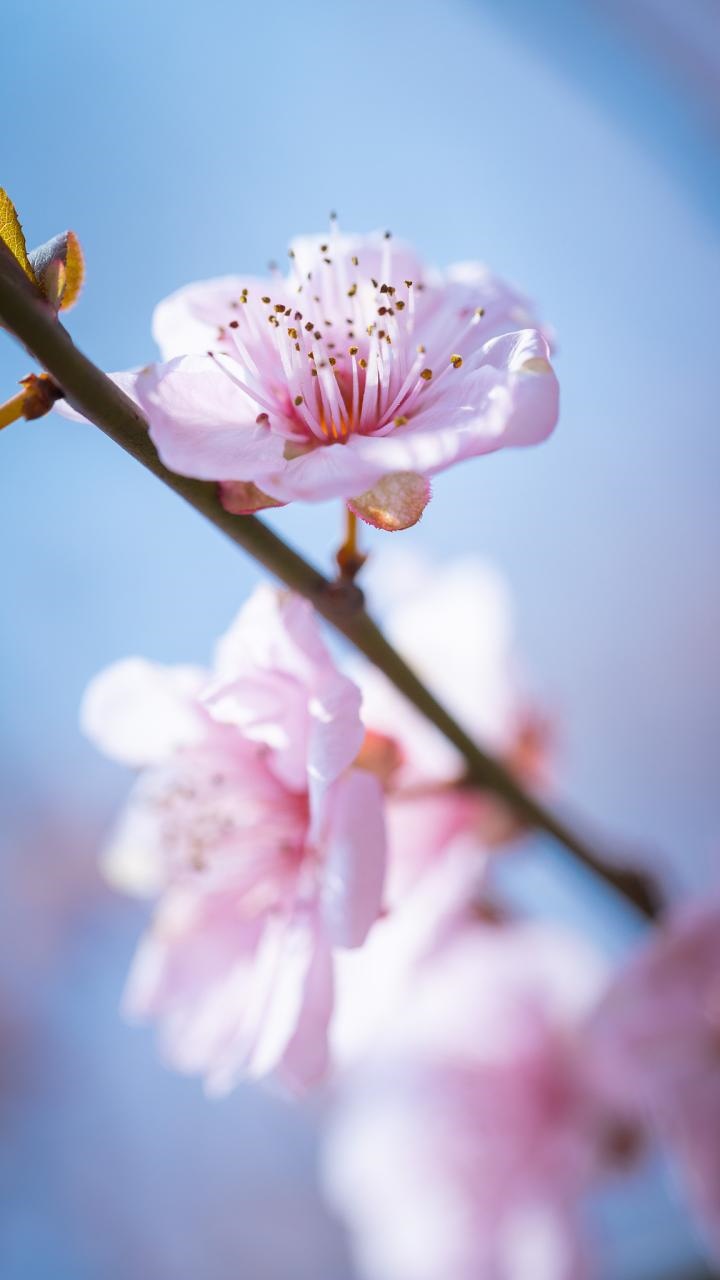 金木水火土五行查询表 生辰八字五行查询