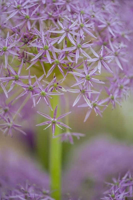 姓名大全20000个 一万个名字供你选择