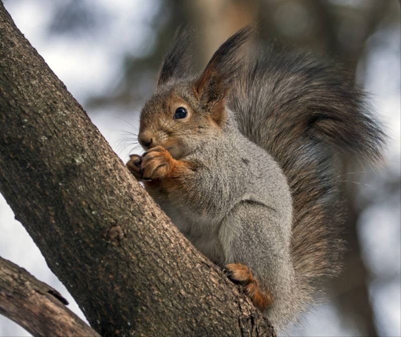 6年属鼠25岁有一灾 96年属鼠26岁有牢狱之灾"