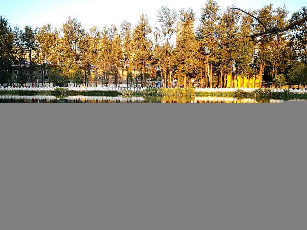 家中有一物阴气全消除 化解房子阴气重的方法