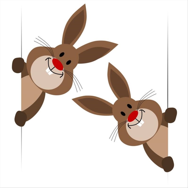 5年属兔人47岁后运程 1975年属兔的终身贵人"