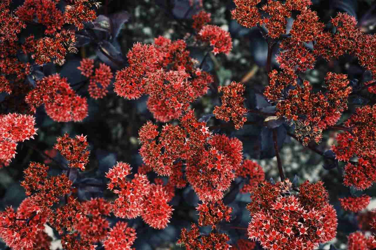 最精辟人生短句 人生感悟的句子