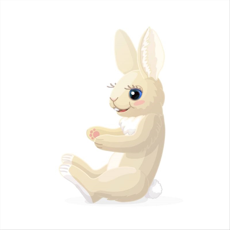 5年属兔人47岁后运程 1975年属兔的终身贵人"