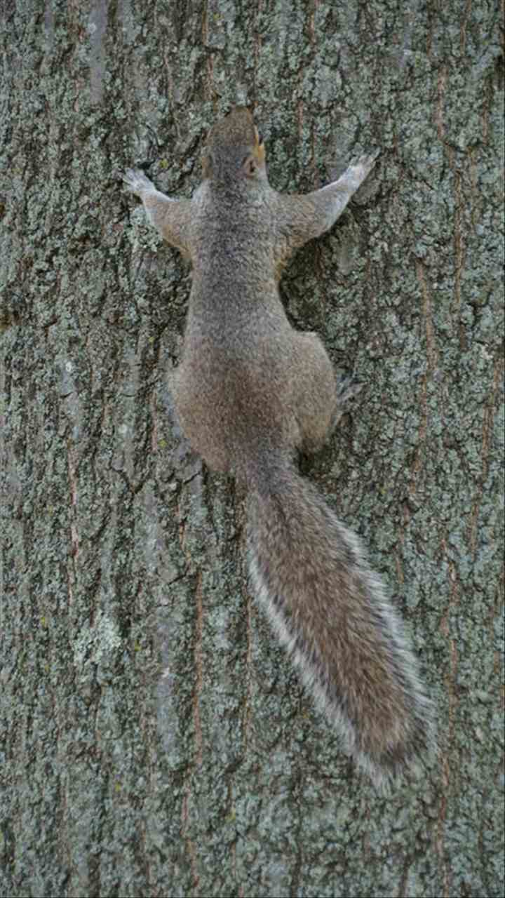 6年属鼠男的最好婚配