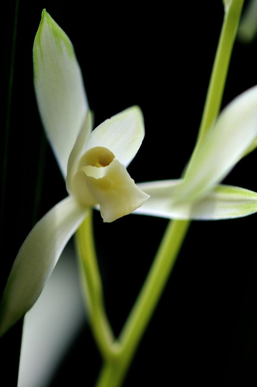 6年属虎的婚姻最佳配偶