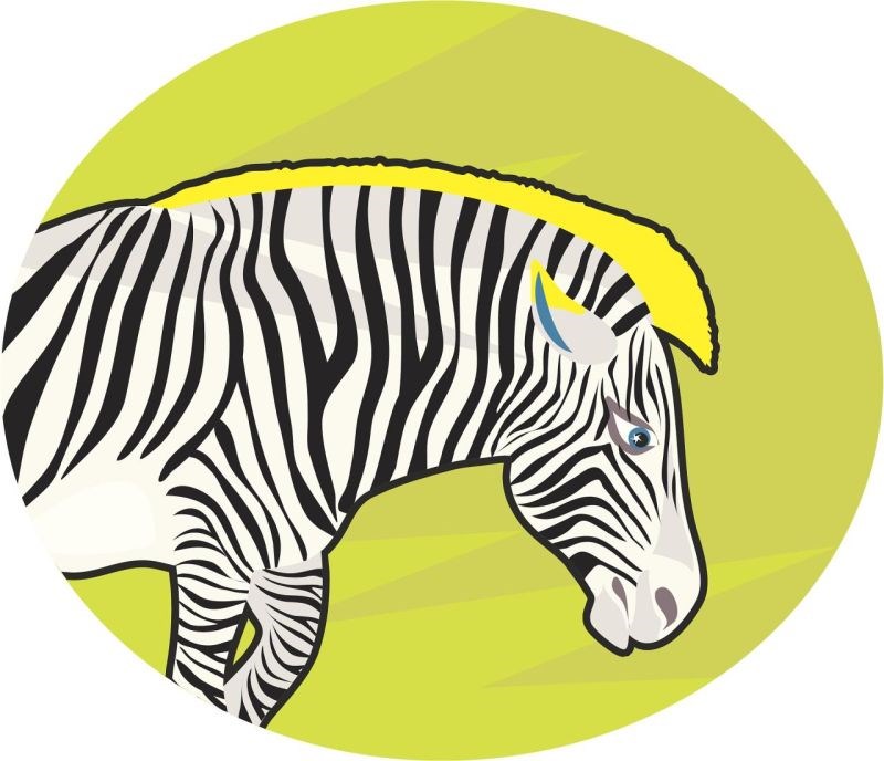 022年12生肖运势解析 2022虎年12生肖运势"