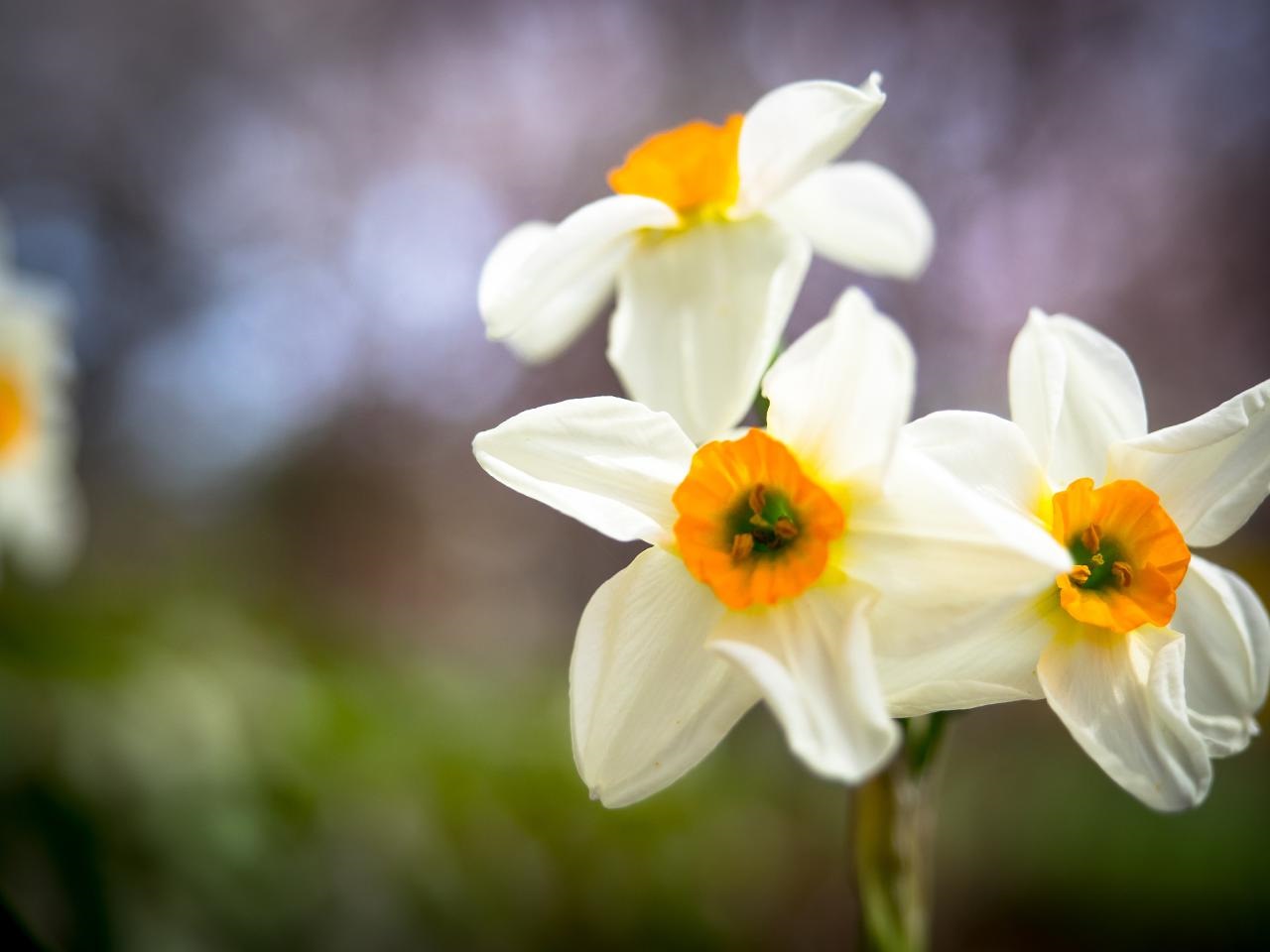 女人高雅气质微信名字 女人有涵养的微信名字