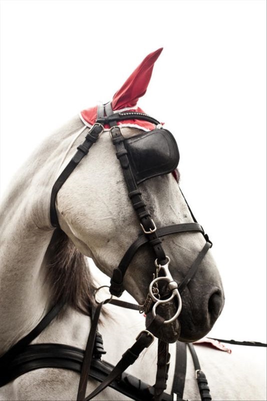 022年运势最好的生肖要翻身