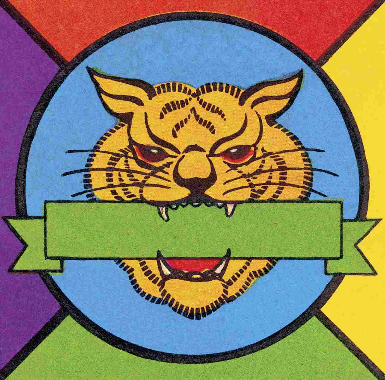 4年属虎的亲人离世灾难年龄 74年的虎晚年很悲惨"