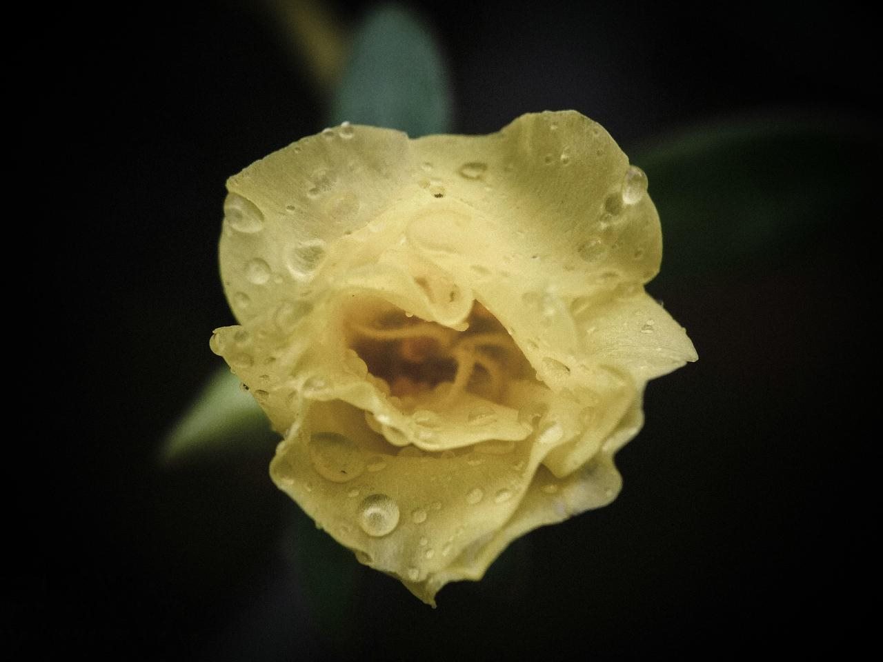 免费测正缘出现的准确时间 正缘其实早已注定了