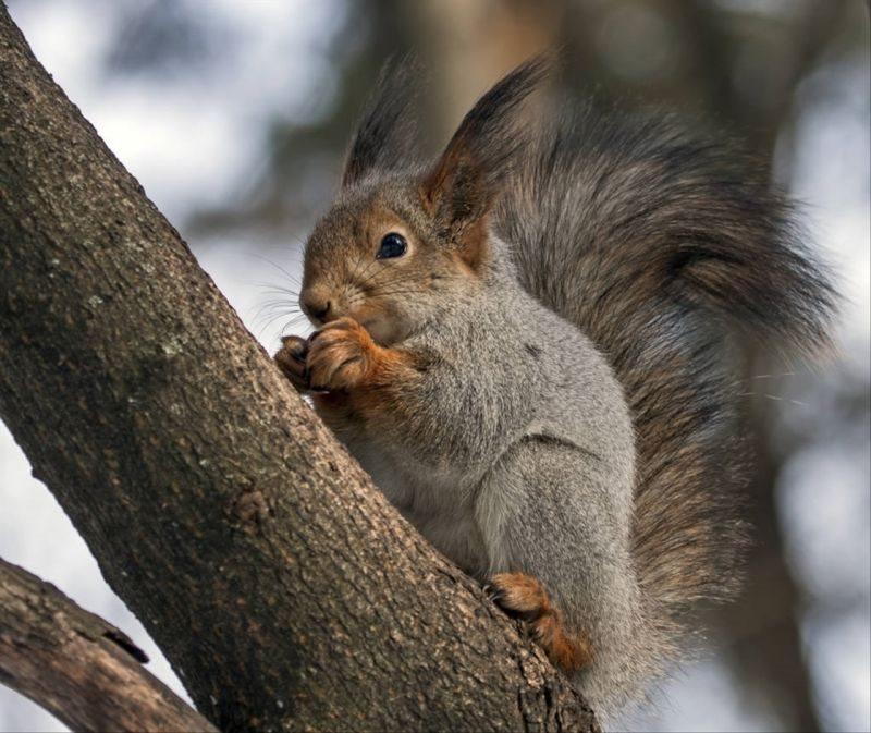 6年属鼠25岁有一灾