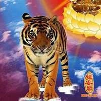 2、年属虎人**吉利的数字:年出生属虎幸运数字