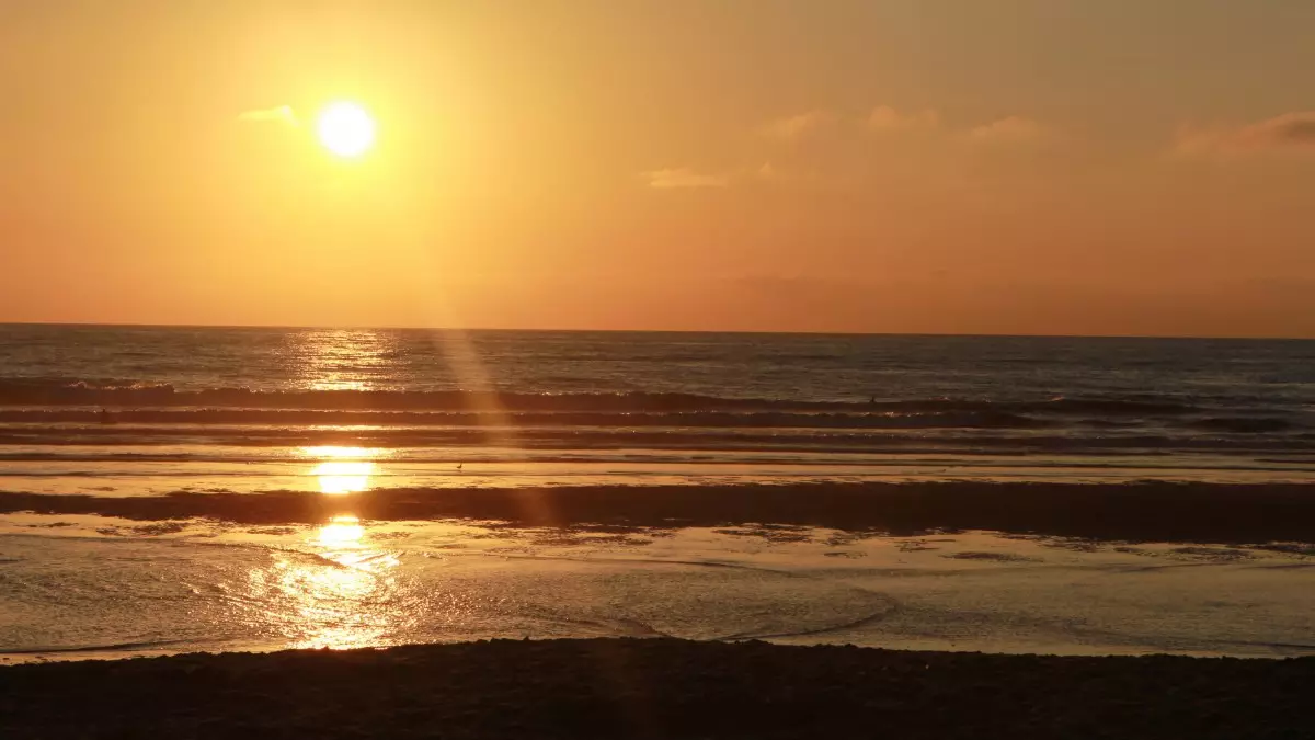 3、抑郁症最暖心的安慰:抑郁症最暖心的安慰句子