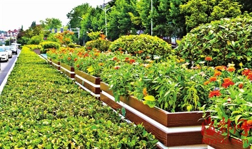 2、缘之空第几集几分开始开的车:求豆花文 为我而生的全文