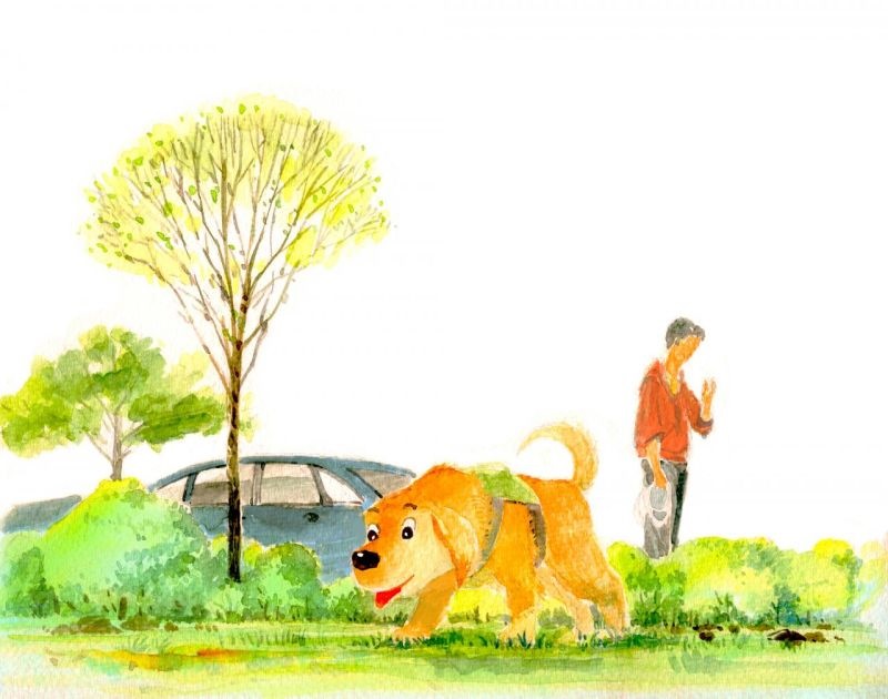 属猪的本命佛图片大全 属猪的佩戴什么本命佛