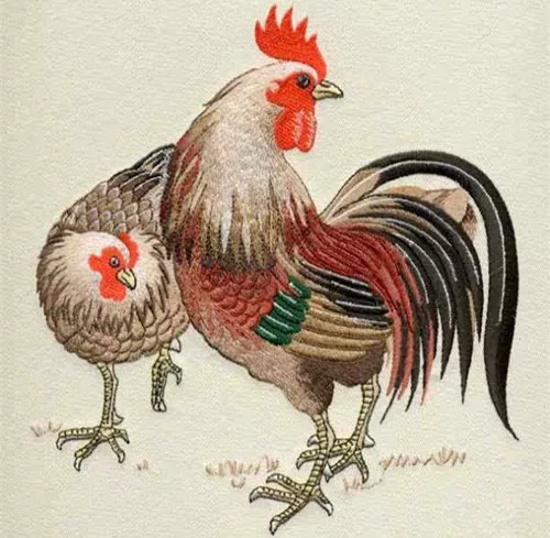 4、年属鸡41岁大劫年:年属鸡人四十六岁的命运如何