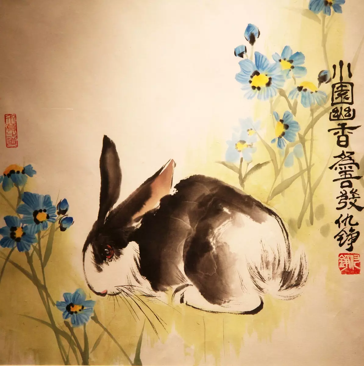 3、年属兔命太苦:年属兔的是什么命