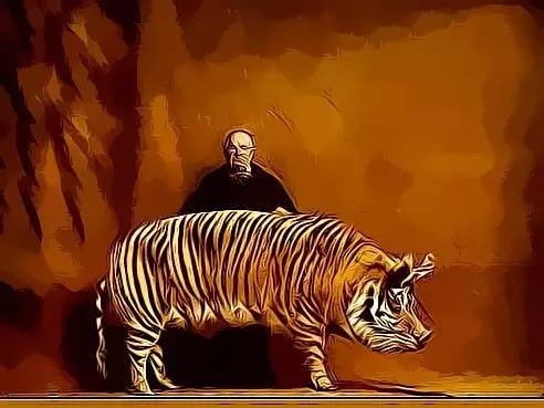 2、为什么猪和虎是上等婚姻:62年的男虎和59年的女猪婚姻?