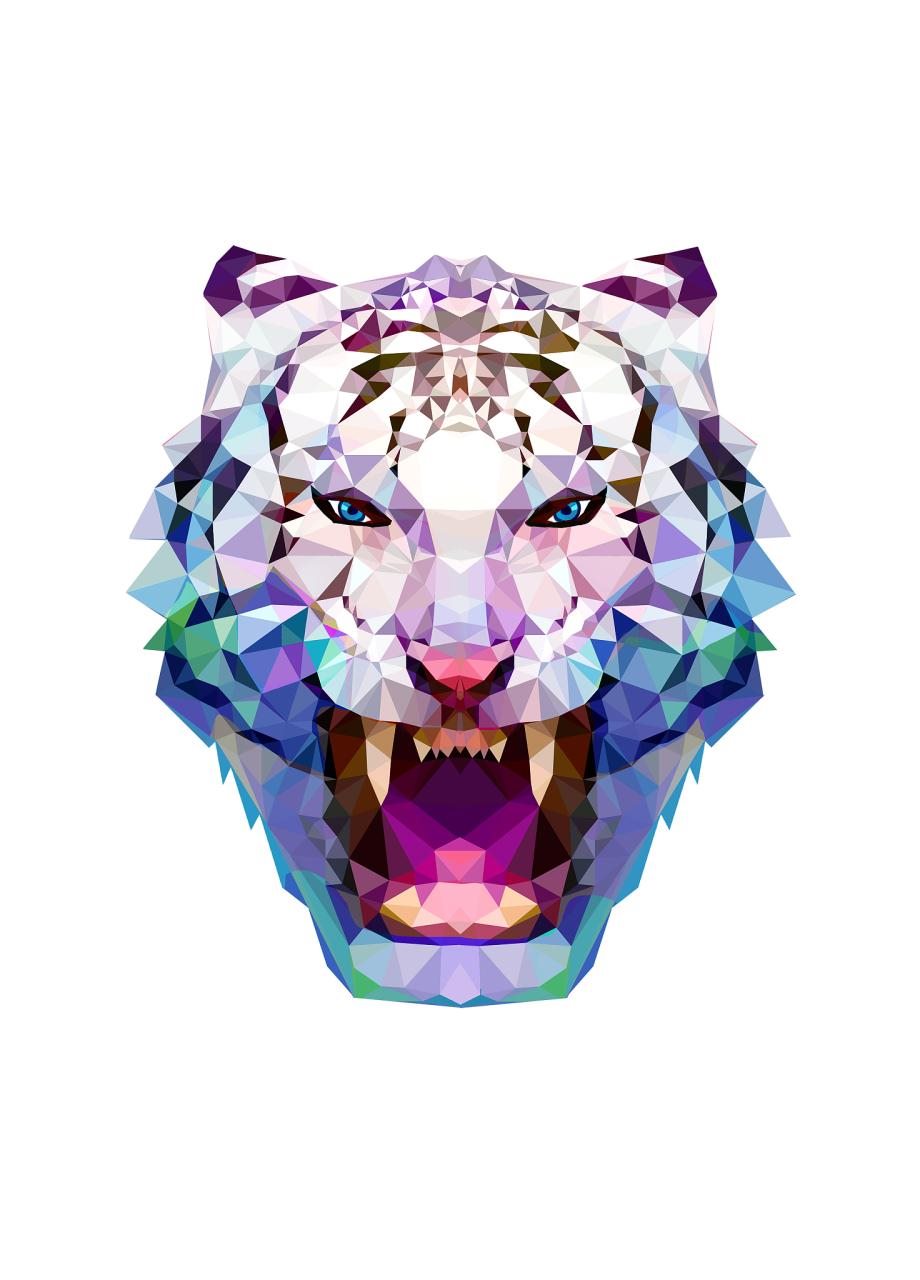 属虎人最苦命出生时辰 生肖虎女最怕出生几月