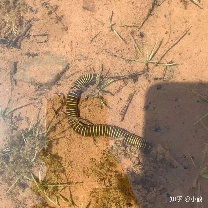 3、找个附近的人玩一玩:**荣耀怎么和附近的人