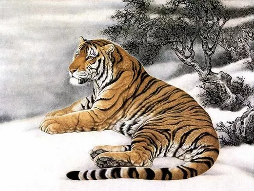 3、86年的虎为什么既属木又属火:属虎的有木命还有火命怎样回事