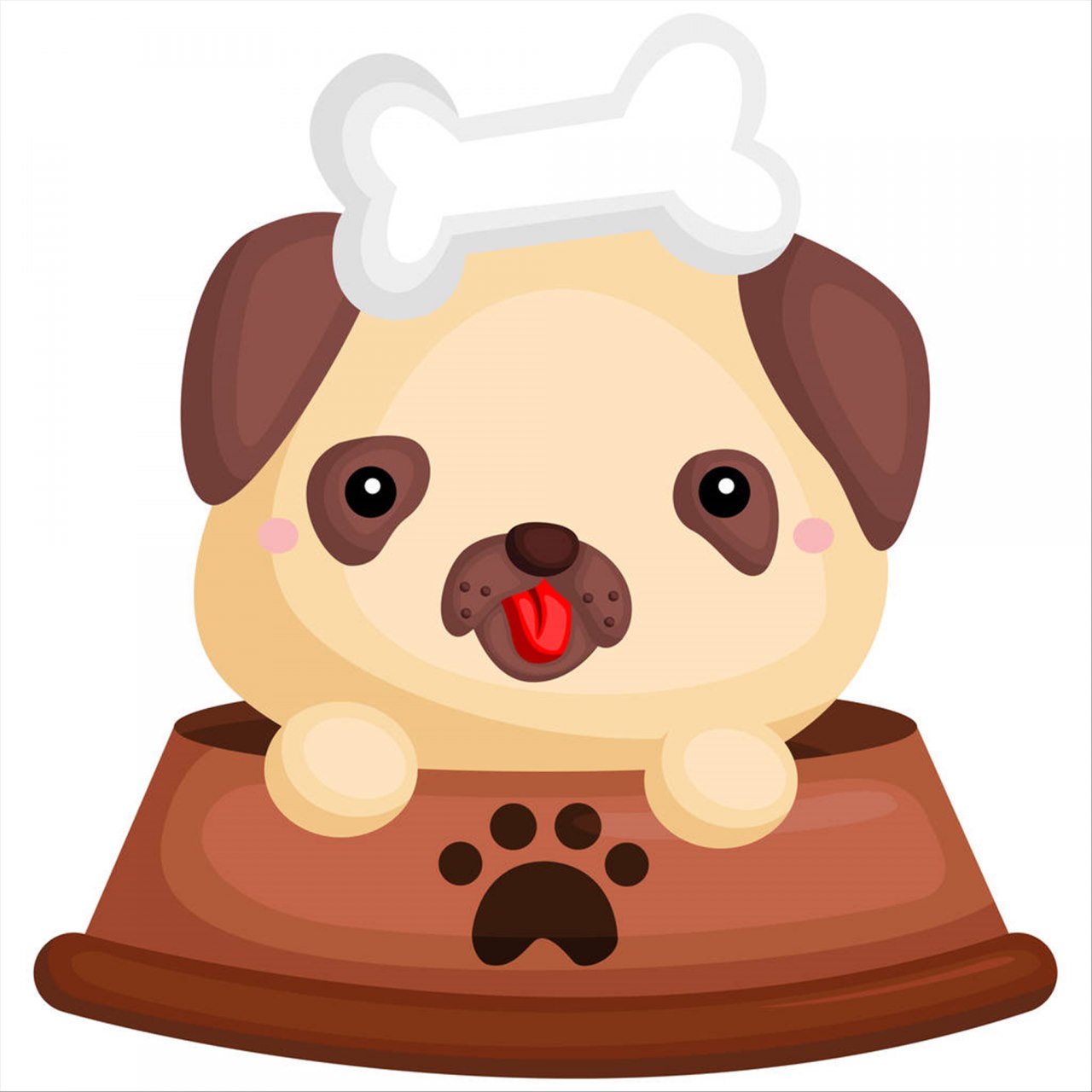 属虎人一生最旺3个人 一生最有财运的生肖