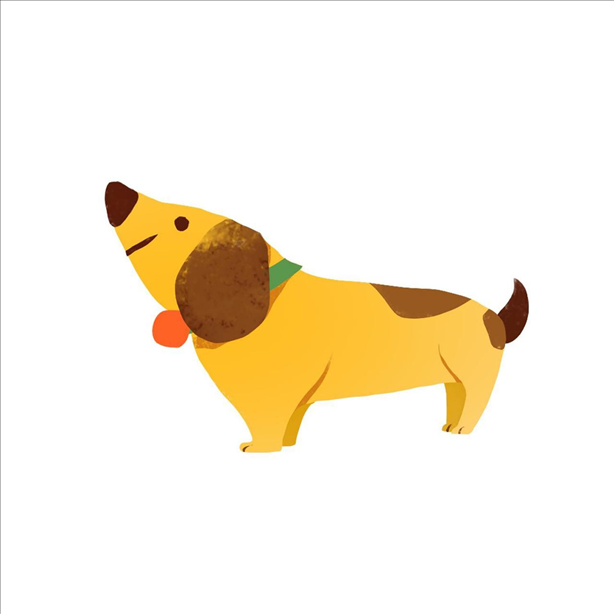 生肖狗今日运势财运 1970属狗女2022年运势