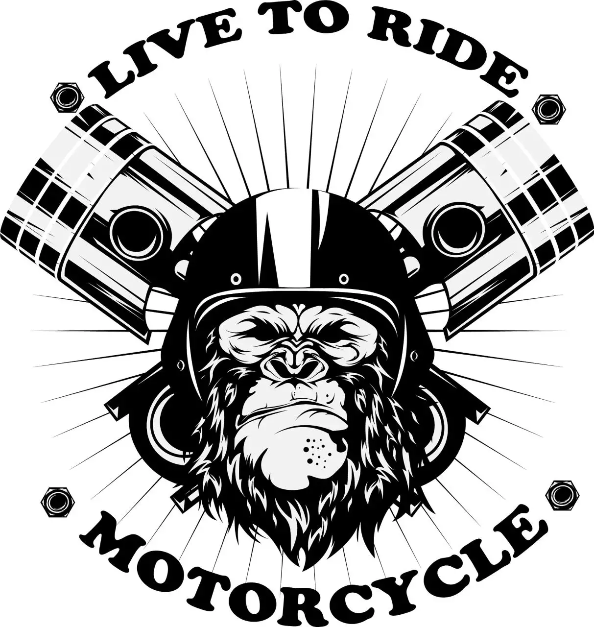 022年属猴终于转运了