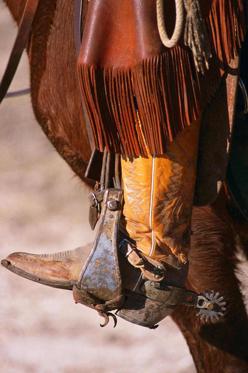 属马人虎年运势2022年 马遇虎年的运势