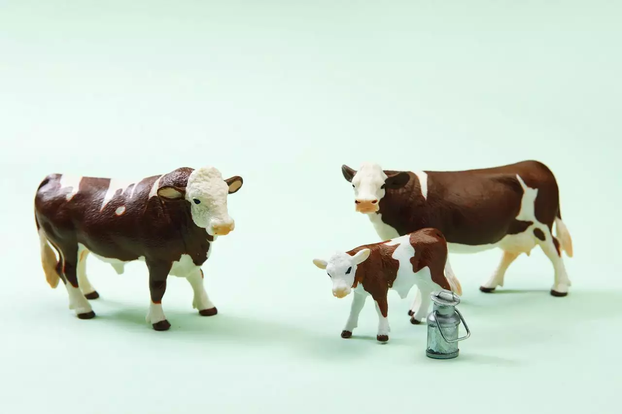 997年属牛姻缘在哪年