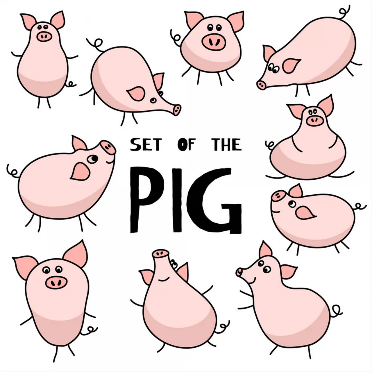 3年属猪39和40岁命运