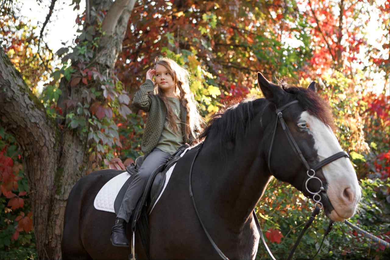 属马人2022年运势运程 不同年份出生的属马人运势