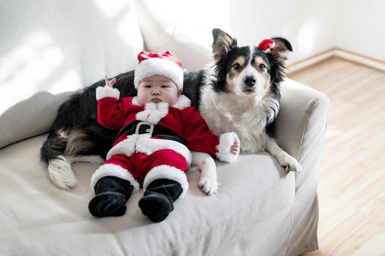 994年属狗女一生运势