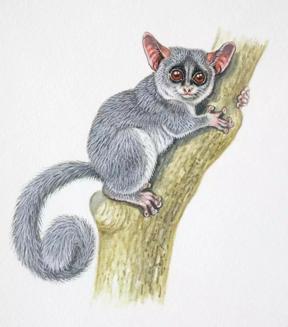 2年属猴一生三大劫2022