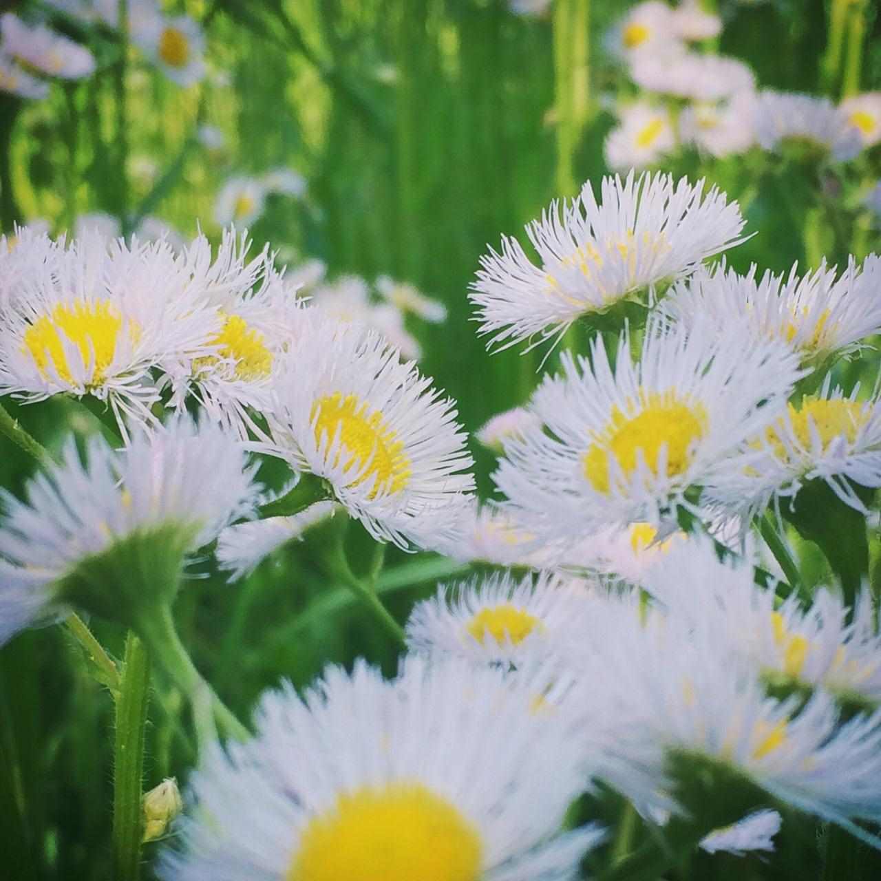 天秤男喜欢撒娇的还是强势的 天秤男喜欢撒娇的女生吗