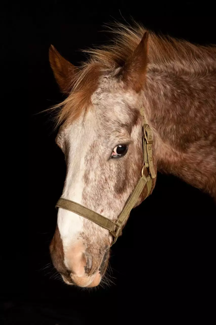 属龙人34岁转运年 84年鼠在哪年能翻身