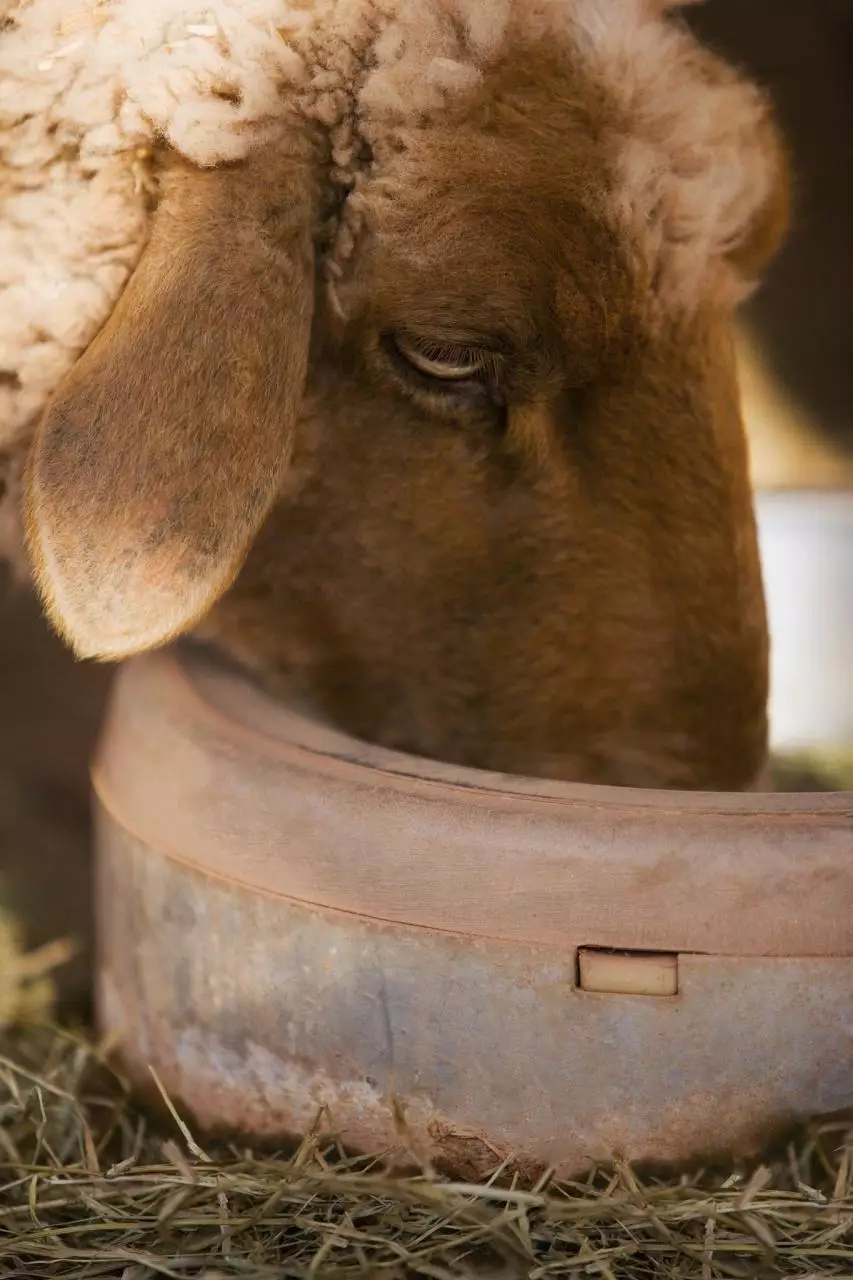 979年羊人43岁后命运财运