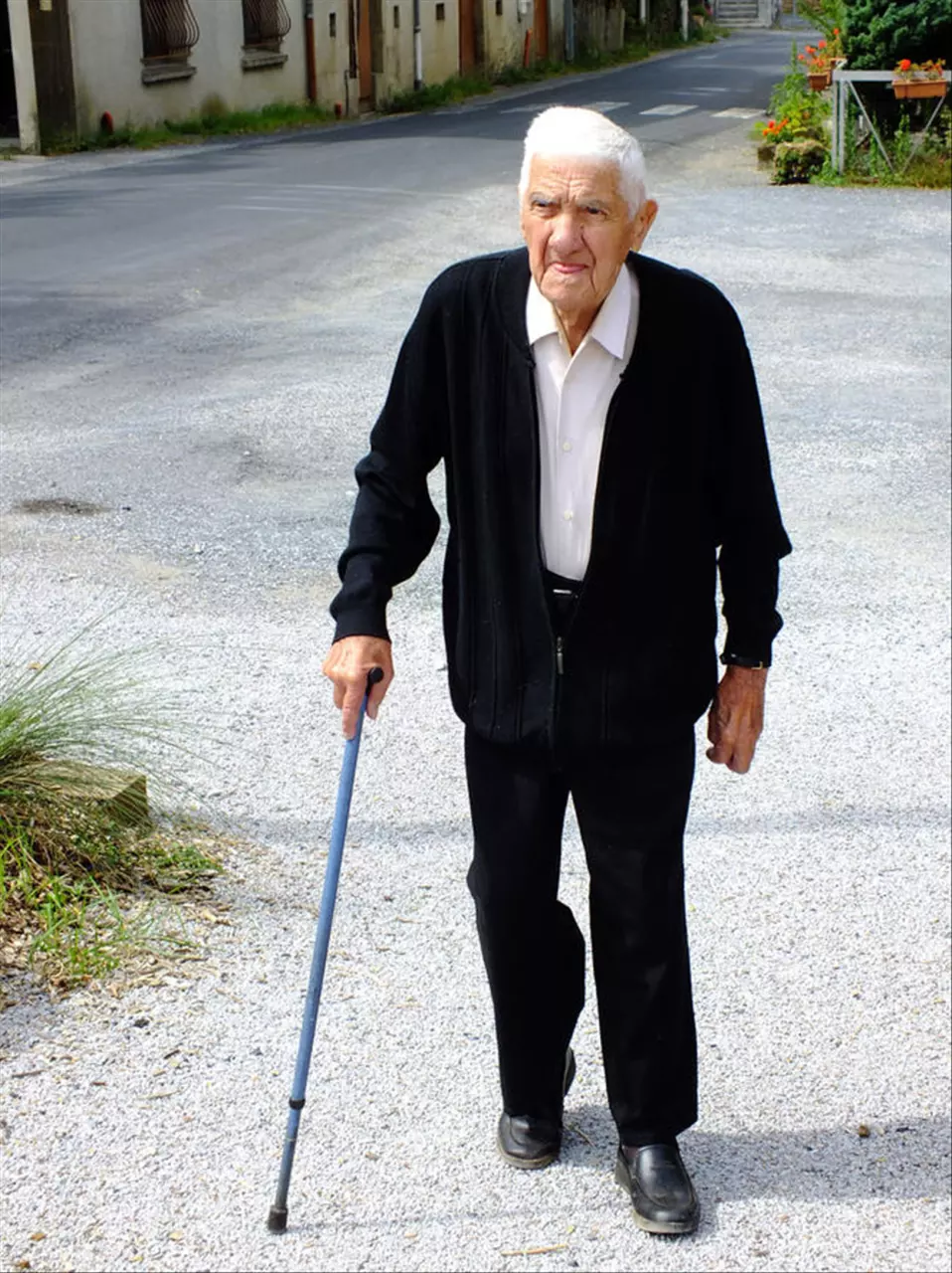 997年属牛的最佳配偶