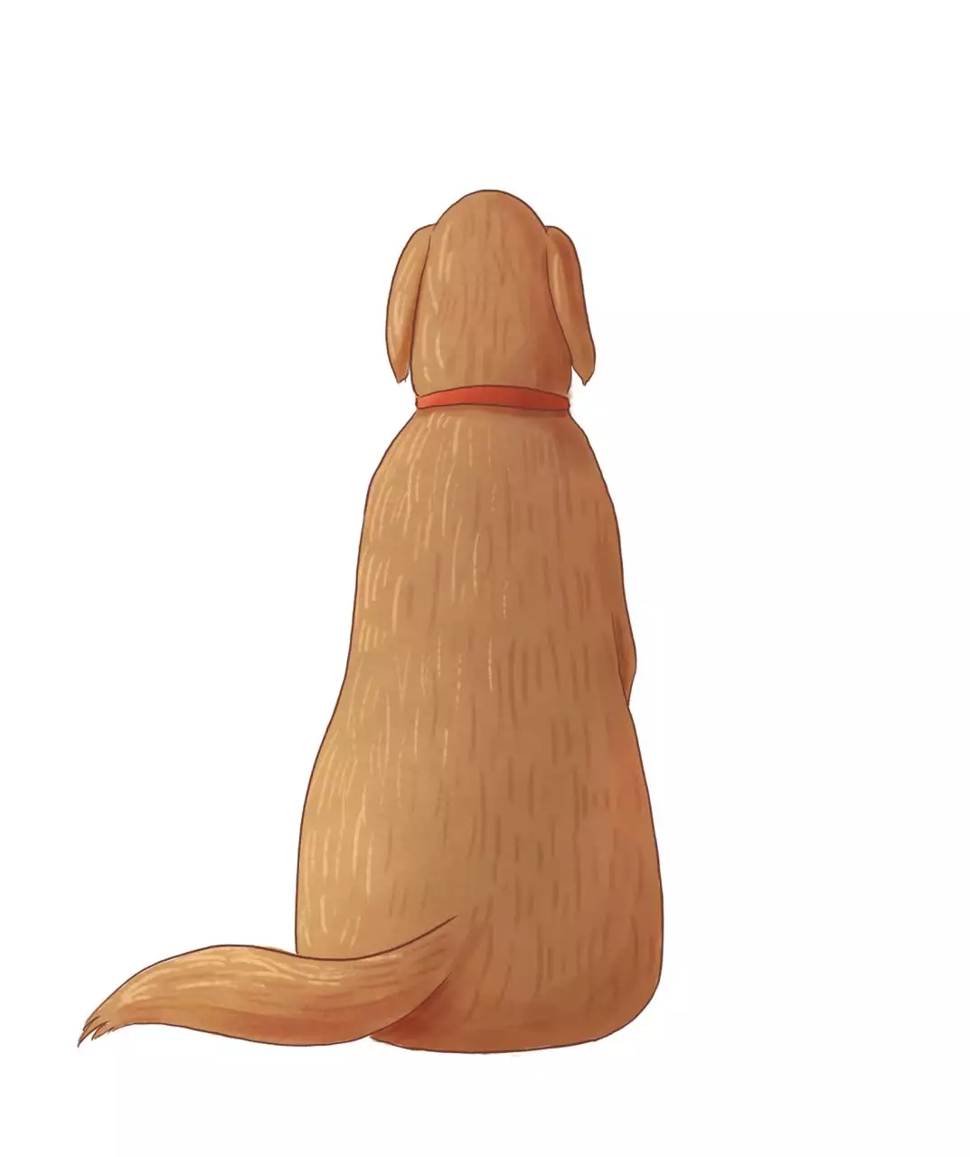 4年狗与96年属相配吗