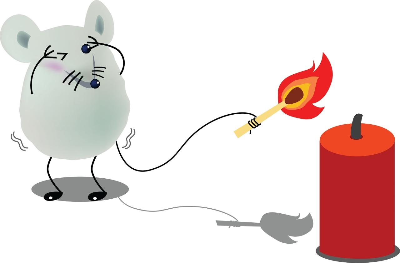 022属鼠人全年运势