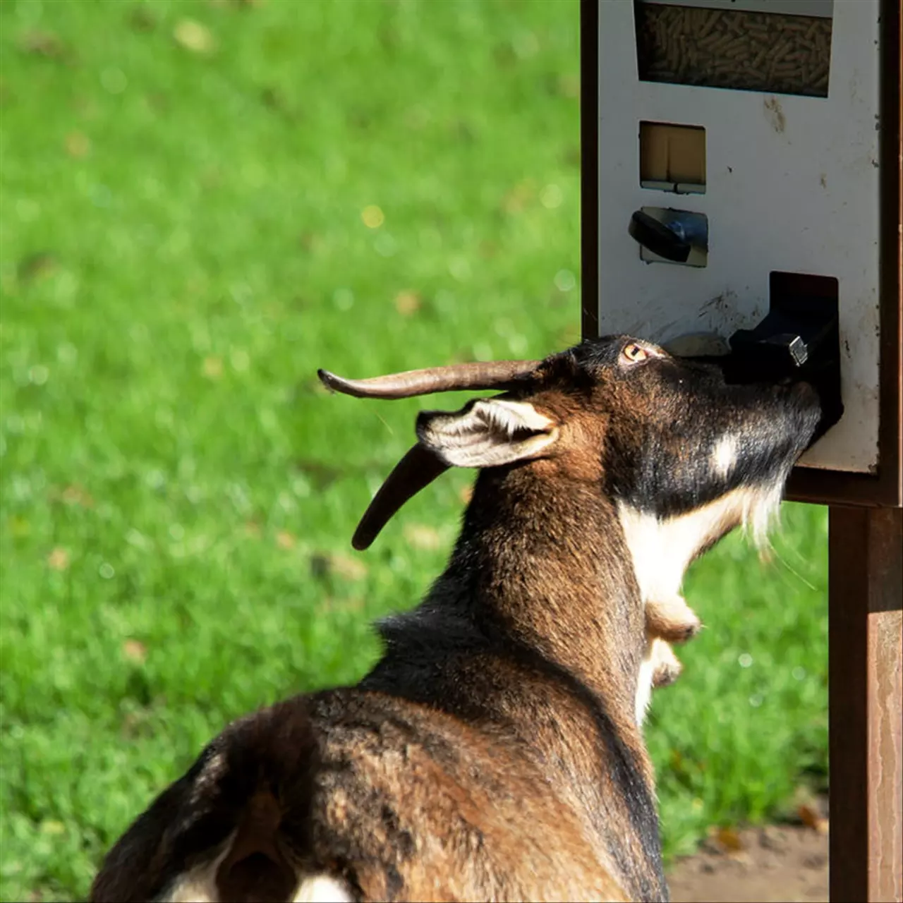 生肖婚姻最佳配对表大全 夫妻其实早就命中注定