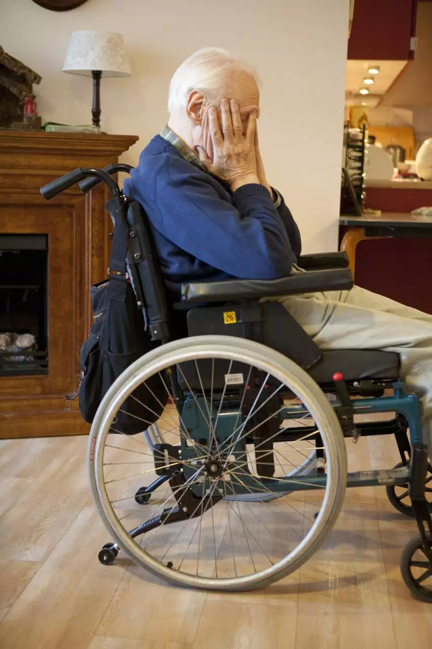 龙年生人终身命运 属龙的是什么命