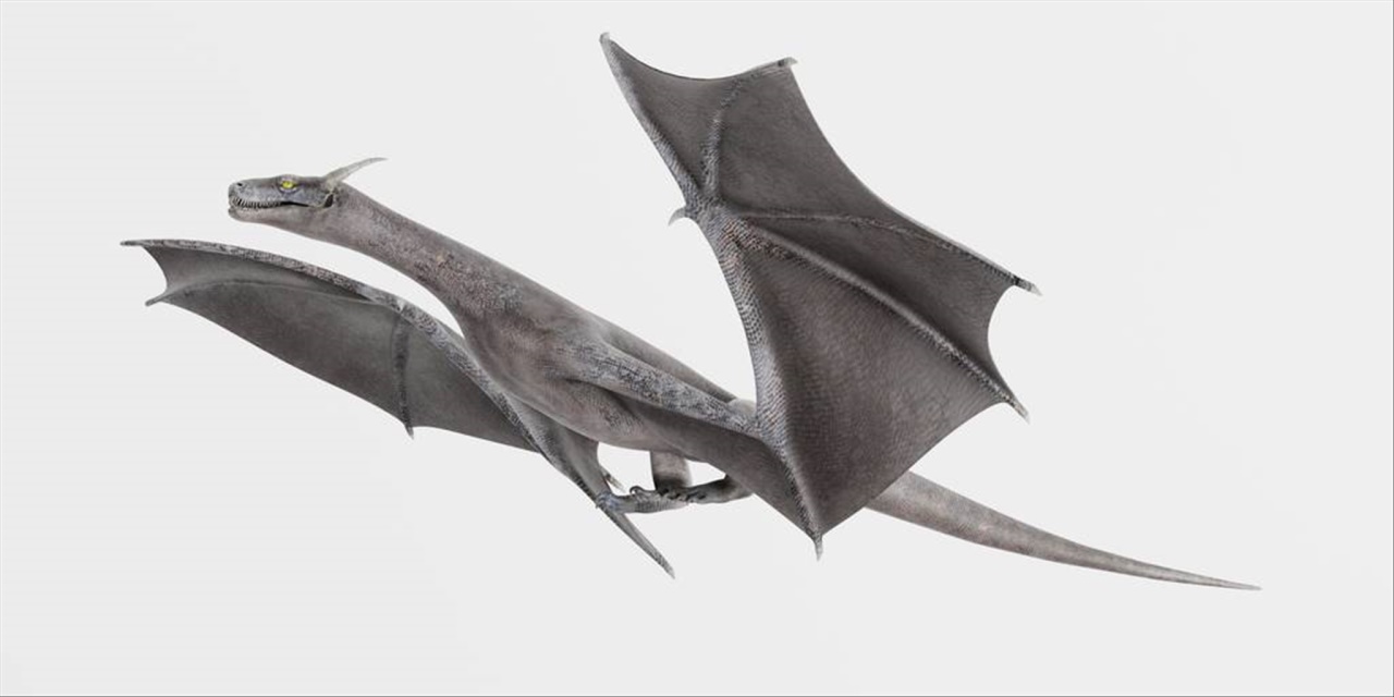 男狗女龙在一起特别好 男狗女龙在一起相克吗