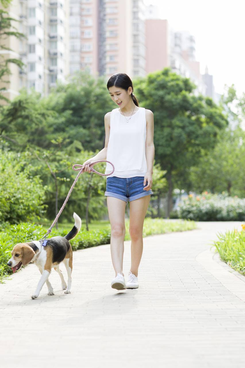 狗和鼠相配财运如何 狗与鼠是绝命婚姻