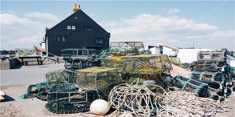 女孩子小小的大额头，潜藏着无限的可能性