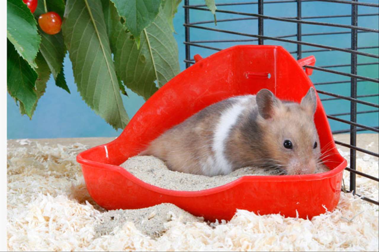 免费查两个人生辰八字合不合 生辰八字男女合不合查询