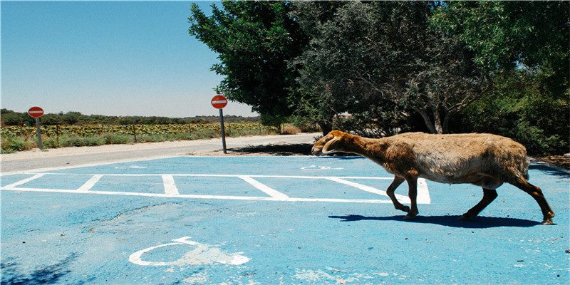 李居明谈饿木命饿火命改运学图文版详解