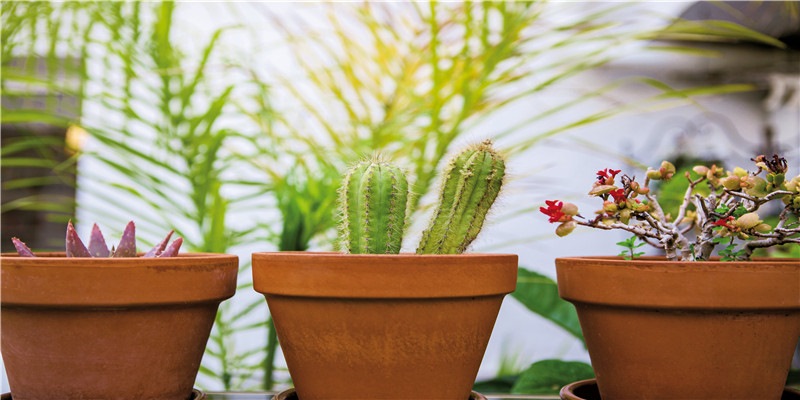 鬼谷子的八字算命术，掐指占卜测世间万千事物