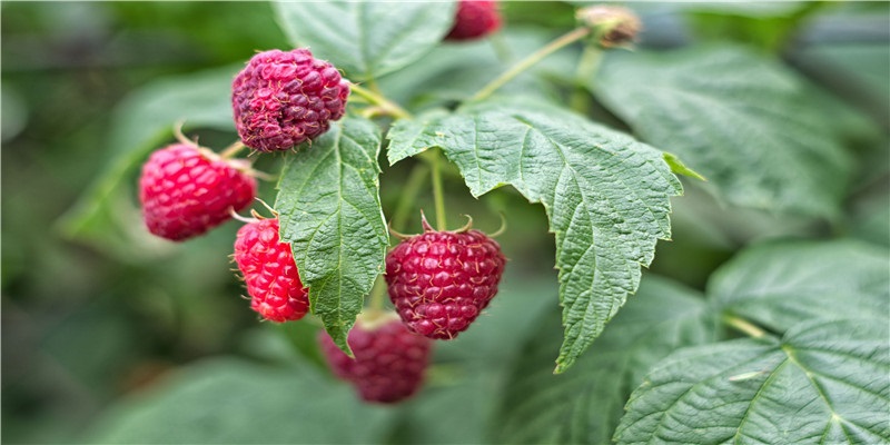 鼻梁不高的女生到底可以有多好看？（塌鼻梁自救指南）